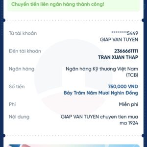 💛 51924 ĐÃ BAY 💛