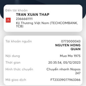 💛 51975 ĐÃ BAY 💛