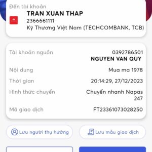 💛 51978 ĐÃ BAY 💛