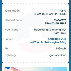 💛 3065 ĐÃ BAY 💛