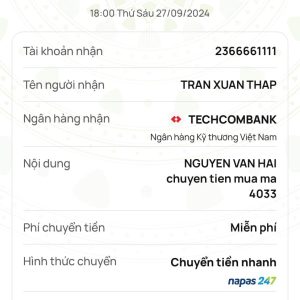 💛 54033 ĐÃ BAY 💛