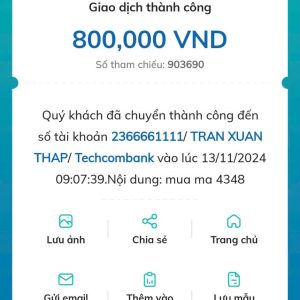 💛 54348 ĐÃ BAY 💛